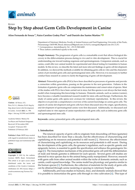 Step by Step About Germ Cells Development in Canine