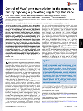 Control of Hoxd Gene Transcription in the Mammary Bud by Hijacking A