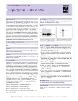 Tropomyosin (CH1): Sc-58868