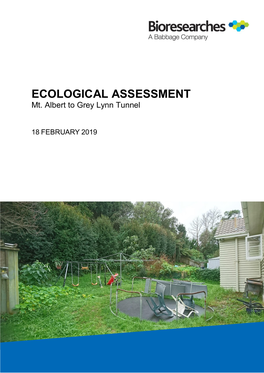 ECOLOGICAL ASSESSMENT Mt