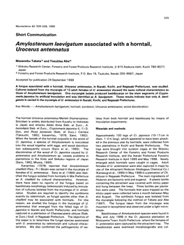 Amylostereum Laevigatum Associated with a Horntail, Urocerus Antennatus