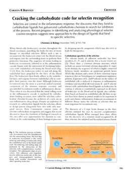 Cracking the Carbohydrate Code for Selectin Recognition