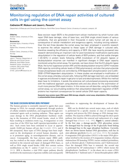 Monitoring Regulation of DNA Repair Activities of Cultured Cells In-Gel Using the Comet Assay