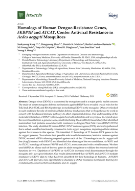 Homologs of Human Dengue-Resistance Genes, FKBP1B and ATCAY, Confer Antiviral Resistance in Aedes Aegypti Mosquitoes