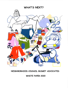 Budget Advocates 2020 White Paper CLICK HERE