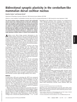 Bidirectional Synaptic Plasticity in the Cerebellum-Like Mammalian Dorsal Cochlear Nucleus