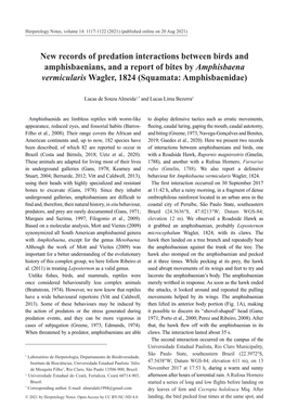 New Records of Predation Interactions Between Birds and Amphisbaenians, and a Report of Bites by Amphisbaena Vermicularis Wagler, 1824 (Squamata: Amphisbaenidae)