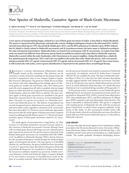 New Species of Madurella, Causative Agents of Black-Grain Mycetoma