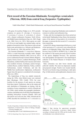 First Record of the Eurasian Blindsnake Xerotyphlops Vermicularis (Merrem, 1820) from Central Iraq (Serpentes: Typhlopidae)