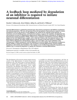 A Feedback Loop Mediated by Degradation of an Inhibitor Is Required to Initiate Neuronal Differentiation