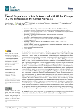 Alcohol Dependence in Rats Is Associated with Global Changes in Gene Expression in the Central Amygdala