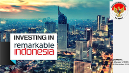 3. Lucrative Investment in Indonesia