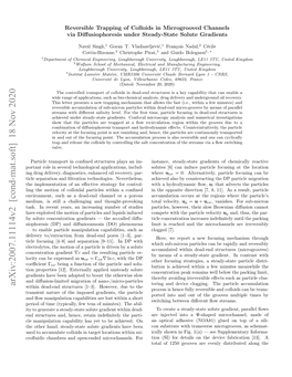 Arxiv:2007.11114V2 [Cond-Mat.Soft] 18 Nov 2020 Tering and Device Clogging