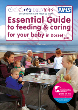 Download the Dorset Essential Guide As A
