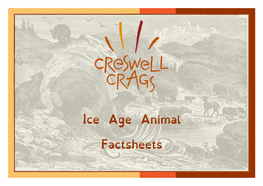 Ice Age Animal Factsheets