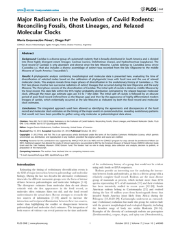 Major Radiations in the Evolution of Caviid Rodents: Reconciling Fossils, Ghost Lineages, and Relaxed Molecular Clocks