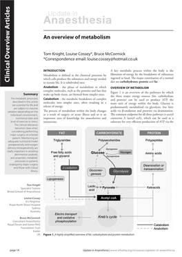 Uia29-An-Overview-Of-Metabolism.Pdf