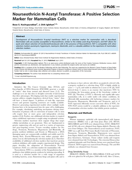 Nourseothricin N-Acetyl Transferase: a Positive Selection Marker for Mammalian Cells