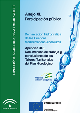 Proyecto De Plan Hidrológico De La Demarcación De Las Cuencas Mediterráneas Andaluzas. Taller Territorial De Almeria. Documento De Trabajo