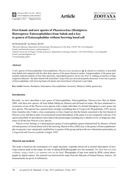 Hemiptera: Heteroptera: Enicocephalidae) from Sabah and a Key to Genera of Enicocephalidae Without Forewing Basal Cell