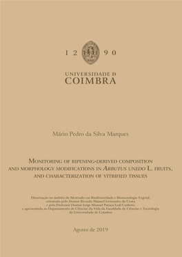 Dissertação De Mário Pedro S Marques.Pdf