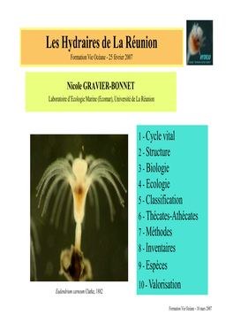 Les Hydraires De La Réunion Formation Vie Océane - 25 Février 2007