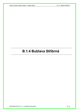 B.1.4 Bublava Stříbrná