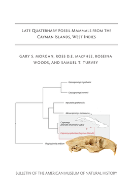 Bulletin of the American Museum of Natural History Late Quaternary Fossil Mammals from the Cayman Islands, West Indies