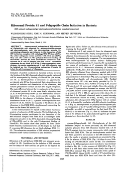 Ribosomal Protein SI and Polypeptide Chain Initiation in Bacteria (30S Subunit Subspecies/Gel Electrophoresis/Initiation Complex Formation) WLODZIMIERZ SZER*, JOSE M