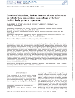 Coral Reef Flounders, Bothus Lunatus, Choose Substrates on Which They