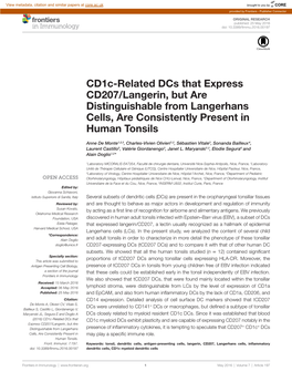 Cd1c-Related Dcs That Express Cd207/Langerin, but Are Distinguishable from Langerhans Cells, Are Consistently Present in Human Tonsils