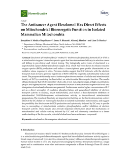 The Anticancer Agent Elesclomol Has Direct Effects on Mitochondrial Bioenergetic Function in Isolated Mammalian Mitochondria