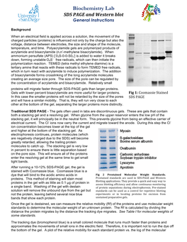 SDS PAGE General Instructions