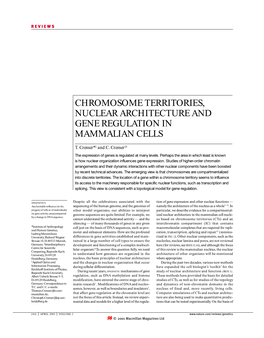 Chromosome Territories, Nuclear Architecture and Gene Regulation in Mammalian Cells