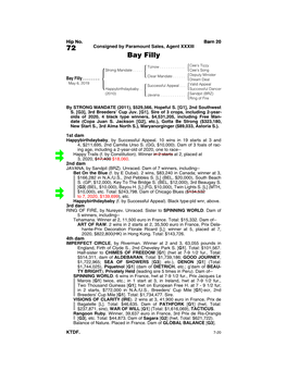 72 Consigned by Paramount Sales, Agent XXXIII Bay Filly