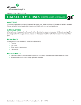 Girl Scout Meetings Cadette, Senior, Ambassador