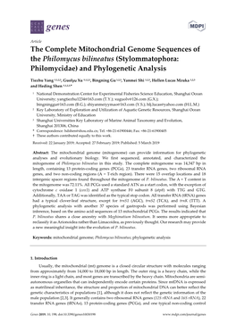 The Complete Mitochondrial Genome Sequences of the Philomycus Bilineatus (Stylommatophora: Philomycidae) and Phylogenetic Analysis