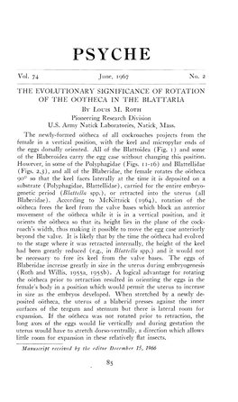 The Evolutionary Significance of Rotation of the Oötheca in The