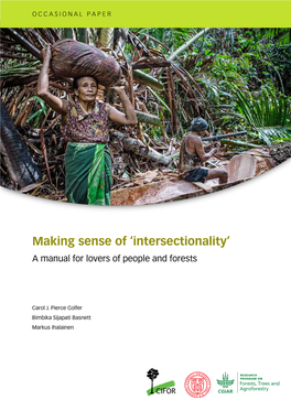 Making Sense of 'Intersectionality'