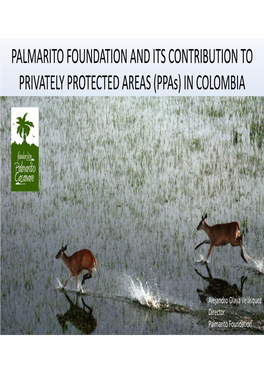 PALMARITO FOUNDATION and ITS CONTRIBUTION to PRIVATELY PROTECTED AREAS (Ppas) in COLOMBIA