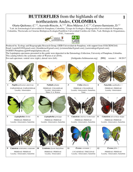 BUTTERFLIES from the Highlands of the Northeastern Andes, COLOMBIA 1