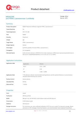 Anti-PON1 / Paraoxonase 1 Antibody (ARG41549)