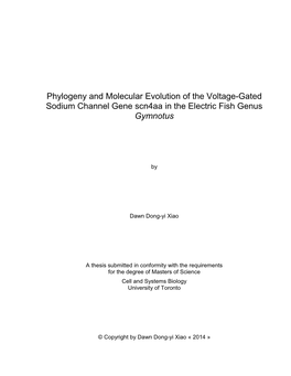 Phylogeny and Molecular Evolution of the Voltage-Gated Sodium Channel Gene Scn4aa in the Electric Fish Genus Gymnotus