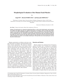 Morphological Evaluation of the Human Facial Muscles