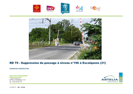 RD 79 - Suppression Du Passage À Niveau N°196 À Escalquens (31)