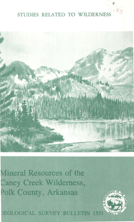 Mineral Resources of the Caney Creek Wilderness, Polk County, Arkansas