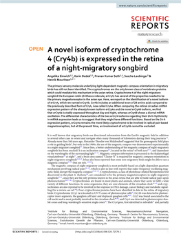 A Novel Isoform of Cryptochrome 4 (Cry4b)