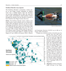 Northern Shoveler Anas Clypeata the Northern Shoveler Is Primarily a Winter Visi- Tor to San Diego County, Abundant in Shallow Water Over a Muddy Bottom