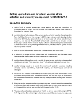 Setting up Medium- and Long-Term Vaccine Strain Selection and Immunity Management for SARS-Cov-2