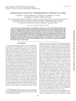 Eumycetoma Caused by Cladophialophora Bantiana in a Dog J